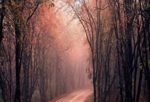 江南体育官网：长文慎入：预测下赛季国际米兰一线队阵容及转会花费.