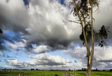 东体：朱辰杰仍在健身房进行轻负荷训练，路易斯进行恢复性训练.